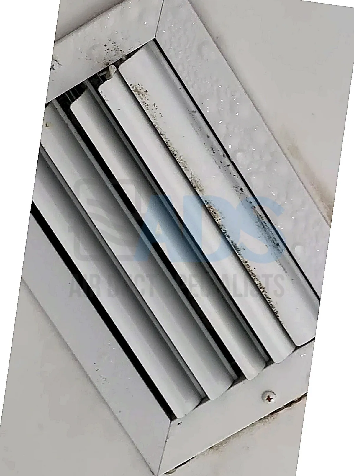 Sweating air vent with condensation droplets and dark mildew on a metal register — South Florida — Air Duct Specialists LLC