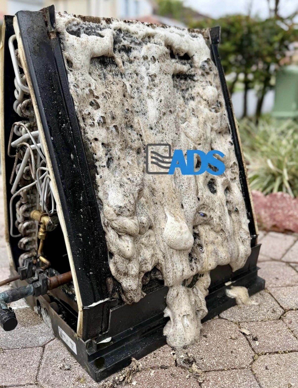 Evaporator coil packed solid with debris before cleaning, removed from a South Florida air handler