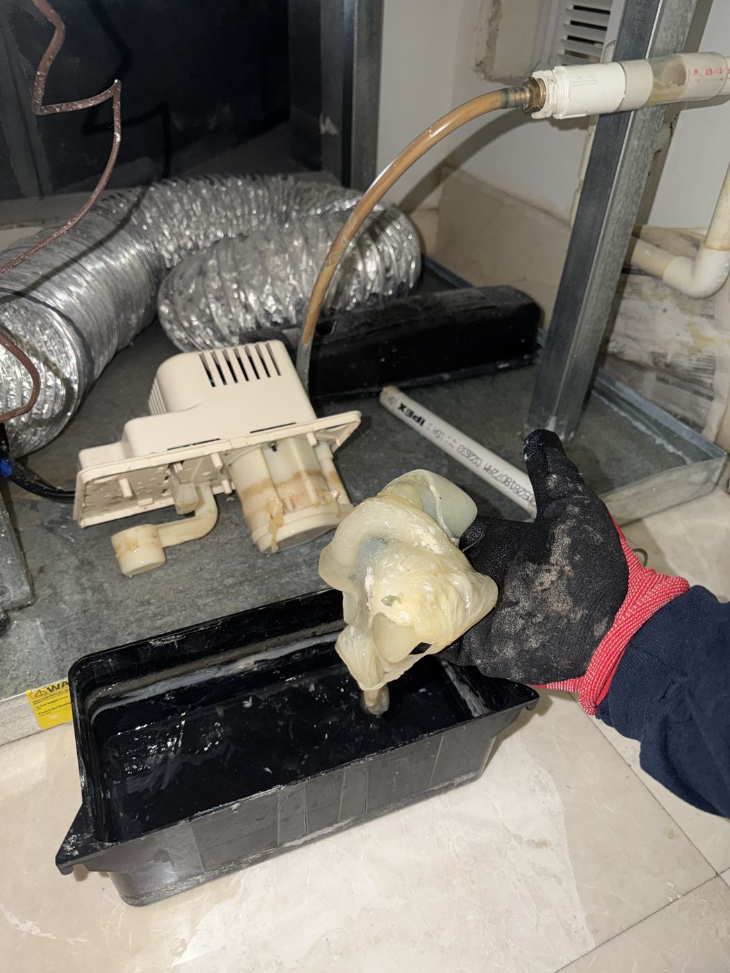 Technician removing thick biofilm buildup from the bottom of an AC condensate pump reservoir