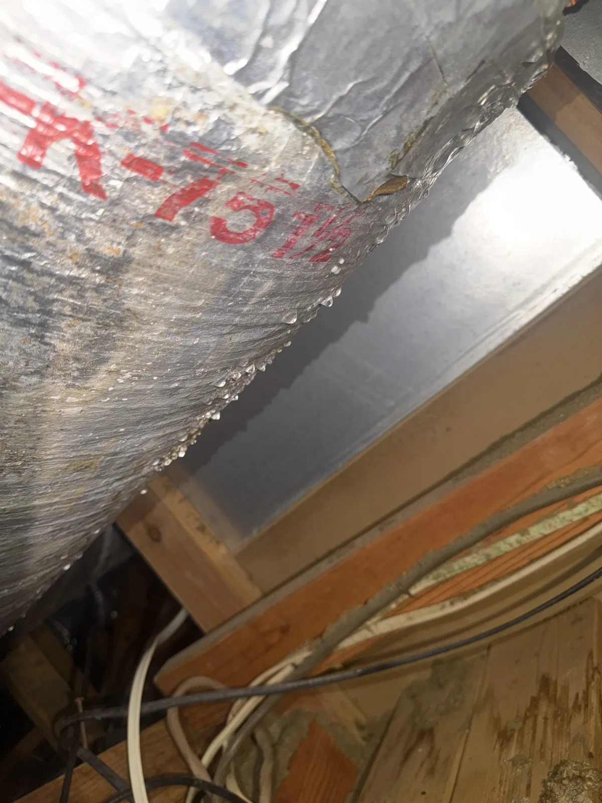 Water droplets beading on the underside of an air duct in a Boca Raton attic — condensation where the duct insulation has failed — Air Duct Specialists LLC